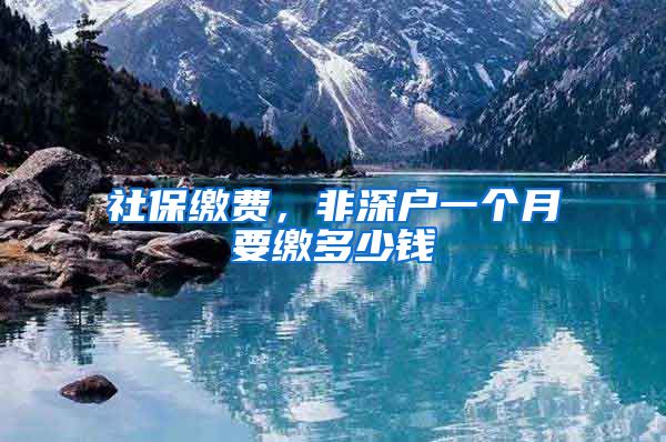 社保缴费，非深户一个月要缴多少钱