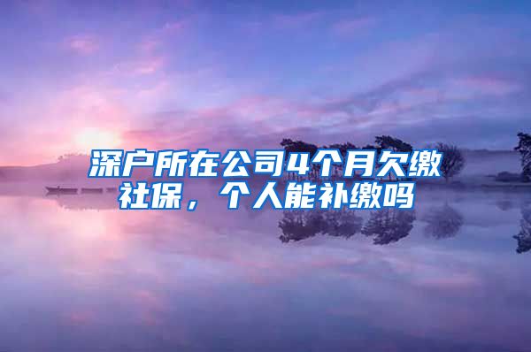 深户所在公司4个月欠缴社保，个人能补缴吗