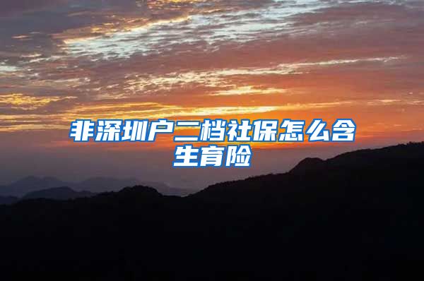 非深圳户二档社保怎么含生育险