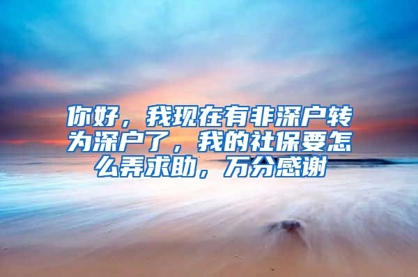 你好，我现在有非深户转为深户了，我的社保要怎么弄求助，万分感谢