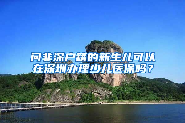 问非深户籍的新生儿可以在深圳办理少儿医保吗？