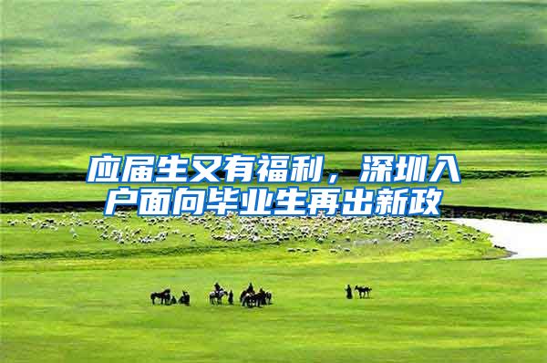 应届生又有福利，深圳入户面向毕业生再出新政