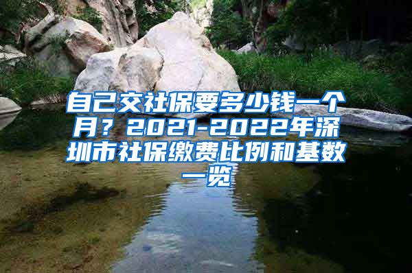 自己交社保要多少钱一个月？2021-2022年深圳市社保缴费比例和基数一览
