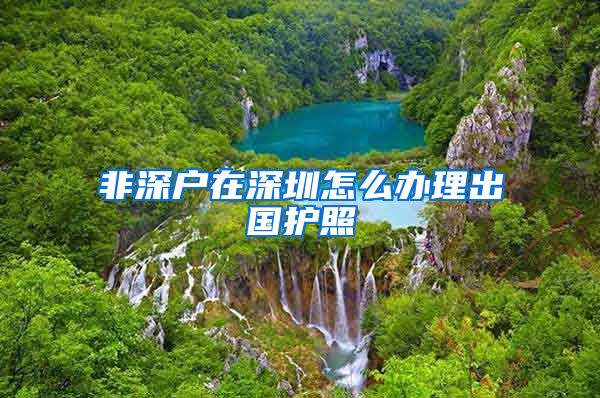 非深户在深圳怎么办理出国护照