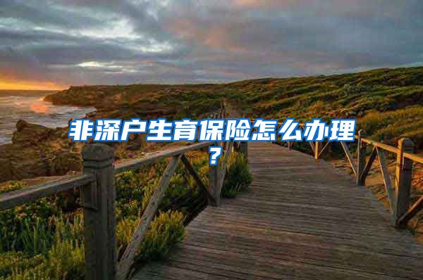 非深户生育保险怎么办理？