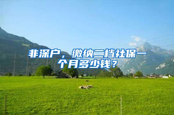 非深户，缴纳二档社保一个月多少钱？
