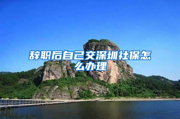 辞职后自己交深圳社保怎么办理