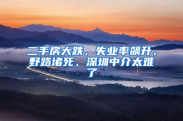 二手房大跌，失业率飙升，野路堵死，深圳中介太难了
