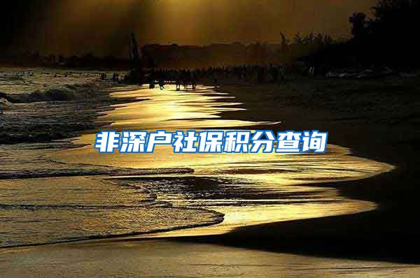 非深户社保积分查询