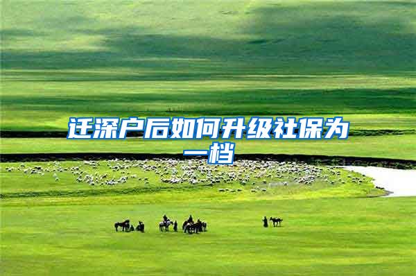 迁深户后如何升级社保为一档