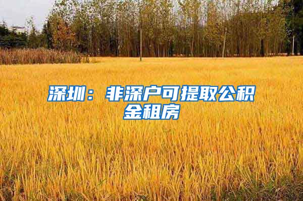 深圳：非深户可提取公积金租房
