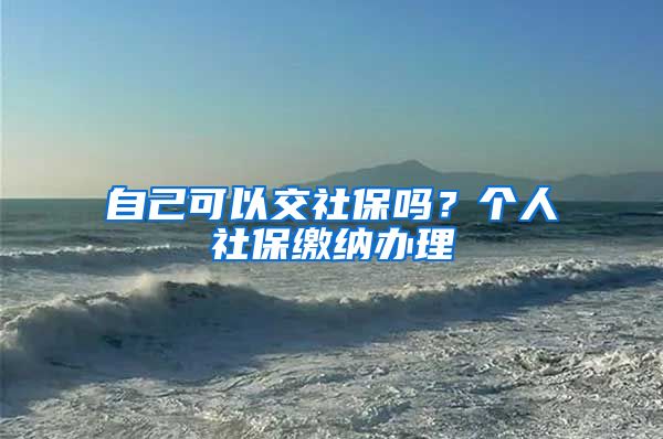 自己可以交社保吗？个人社保缴纳办理