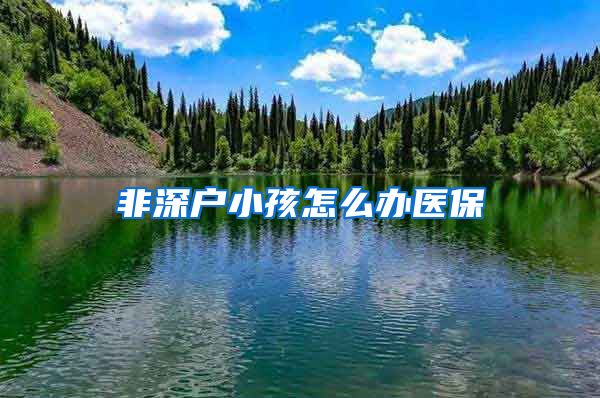 非深户小孩怎么办医保