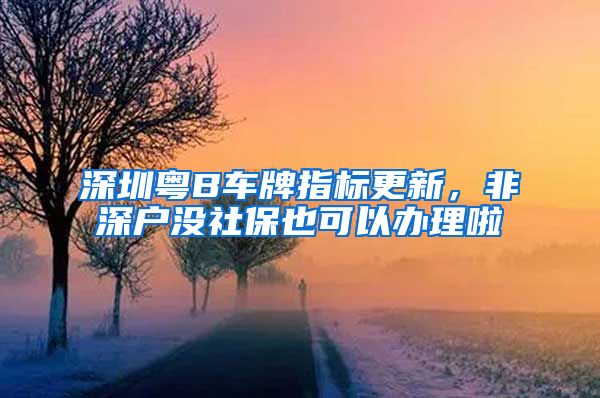 深圳粤B车牌指标更新，非深户没社保也可以办理啦