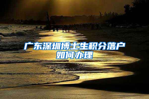 广东深圳博士生积分落户如何办理