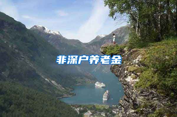 非深户养老金