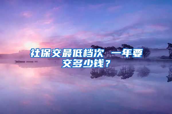 社保交最低档次 一年要交多少钱？