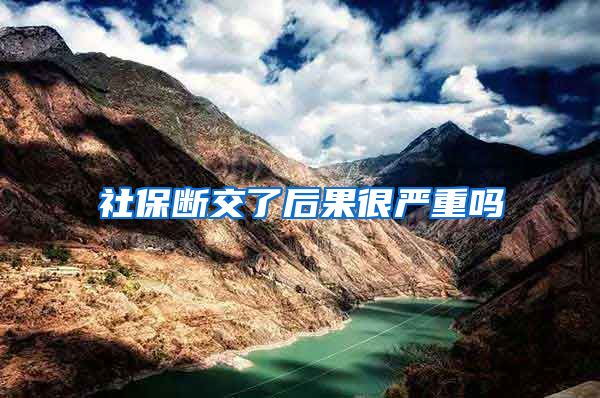 社保断交了后果很严重吗