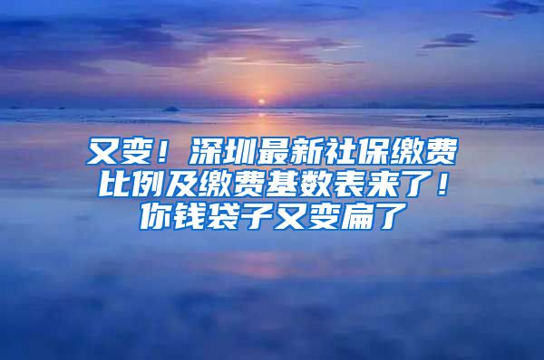 又变！深圳最新社保缴费比例及缴费基数表来了！你钱袋子又变扁了
