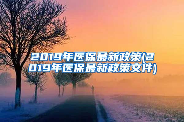 2019年医保最新政策(2019年医保最新政策文件)