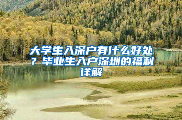 大学生入深户有什么好处？毕业生入户深圳的福利详解