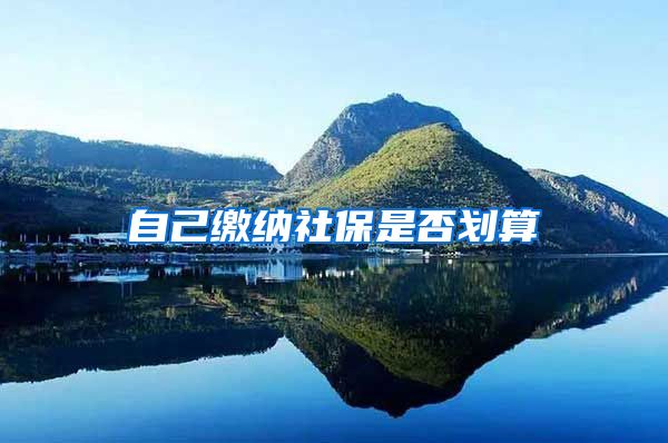 自己缴纳社保是否划算