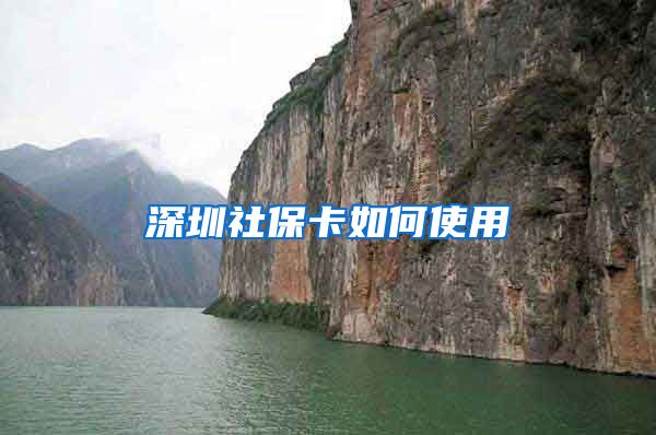 深圳社保卡如何使用