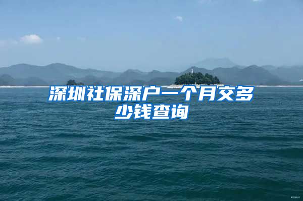 深圳社保深户一个月交多少钱查询
