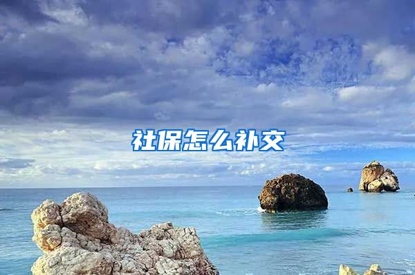 社保怎么补交