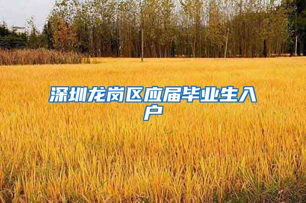 深圳龙岗区应届毕业生入户