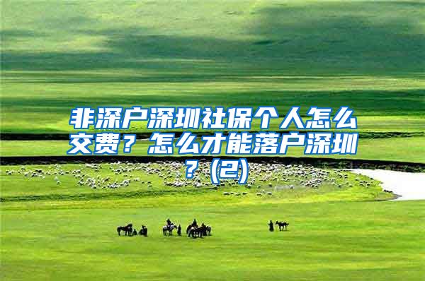 非深户深圳社保个人怎么交费？怎么才能落户深圳？(2)