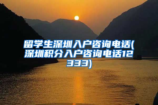 留学生深圳入户咨询电话(深圳积分入户咨询电话12333)