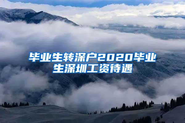 毕业生转深户2020毕业生深圳工资待遇