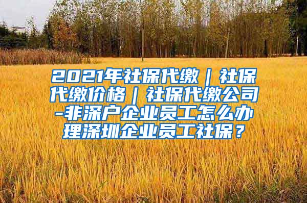 2021年社保代缴｜社保代缴价格｜社保代缴公司-非深户企业员工怎么办理深圳企业员工社保？