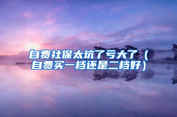 自费社保太坑了亏大了（自费买一档还是二档好）