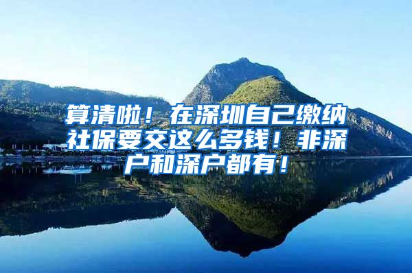 算清啦！在深圳自己缴纳社保要交这么多钱！非深户和深户都有！
