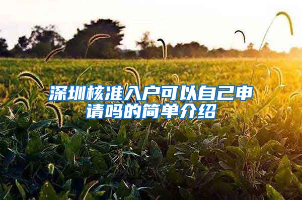 深圳核准入户可以自己申请吗的简单介绍