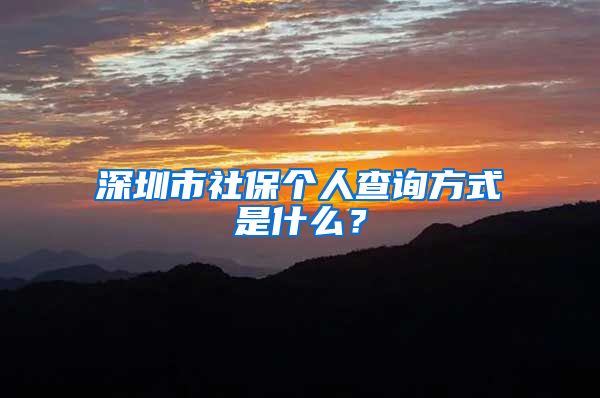 深圳市社保个人查询方式是什么？