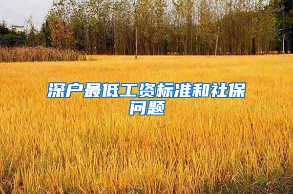 深户最低工资标准和社保问题