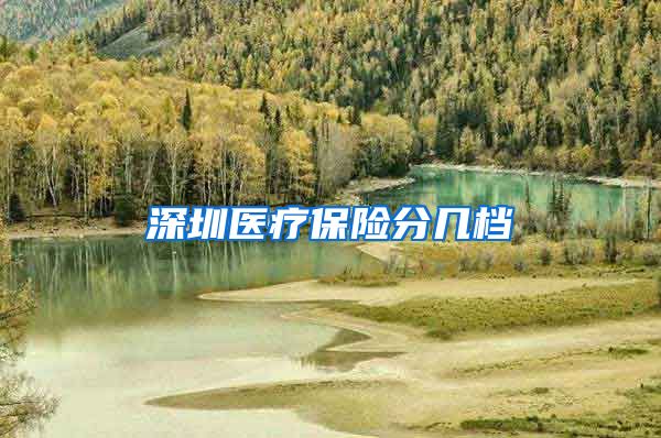 深圳医疗保险分几档