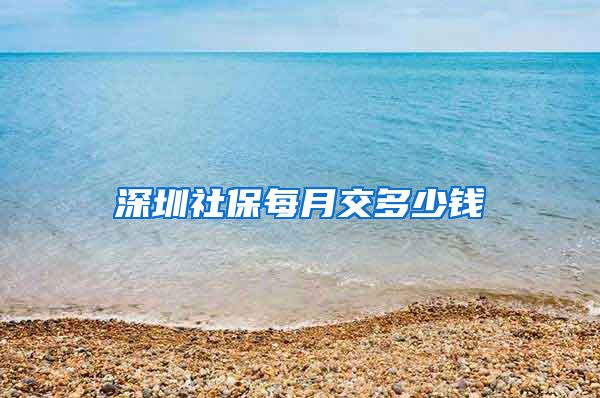 深圳社保每月交多少钱