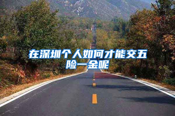 在深圳个人如何才能交五险一金呢