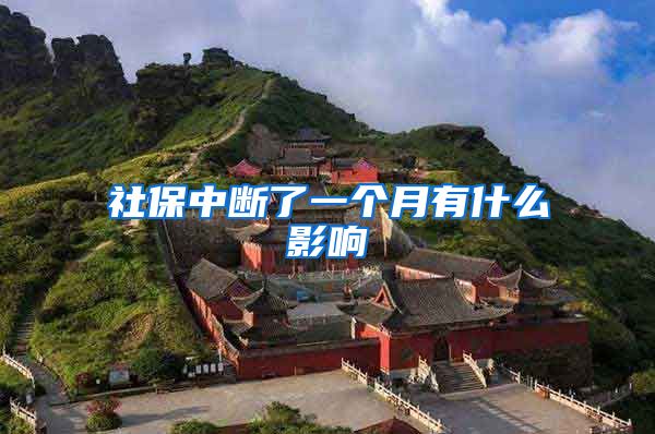 社保中断了一个月有什么影响