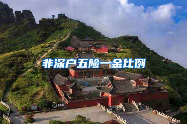 非深户五险一金比例