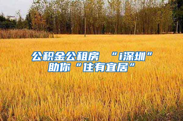 公积金公租房 “i深圳”助你“住有宜居”