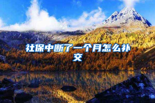社保中断了一个月怎么补交