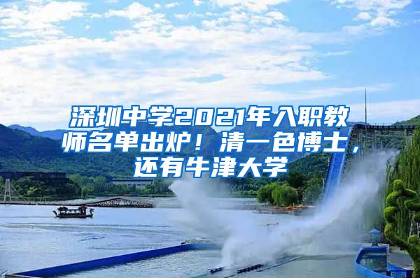 深圳中学2021年入职教师名单出炉！清一色博士，还有牛津大学