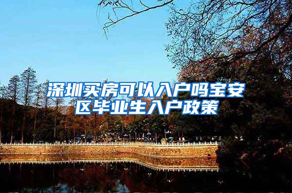 深圳买房可以入户吗宝安区毕业生入户政策