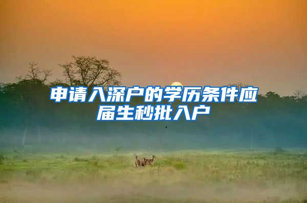 申请入深户的学历条件应届生秒批入户