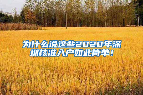 为什么说这些2020年深圳核准入户如此简单！